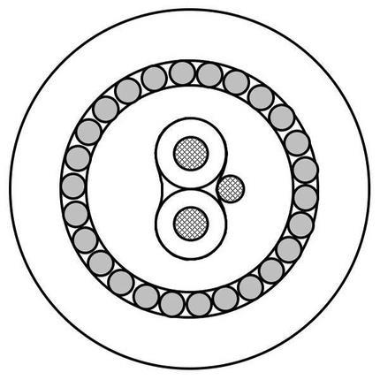Belden Cable 3076ELS.021000 | Profibus PA, 1 Paar AWG 18 verzinntes Kupfer - Litze, Polyolefin (PO, PE, PP)-Isolierung, Abschirmung aus Folie(n) oder Kupferband(en), LSZH/FRNC-Mantel, 300 V SWA