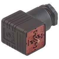 Hirschmann 932107100 | GDM 2014 J Ventilsteckverbinder GDM 2014 J