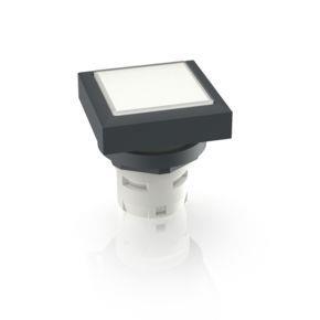 RAFI 1300704510200 | RAFIX 16, Drucktaster, flache Blende, Bund quadratisch anreihbar, Blende weiß