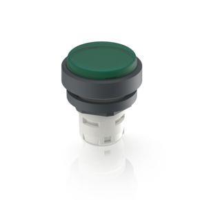 RAFI 1300700261505 | RAFIX 16, Leuchtdrucktaster, IP66, Blende grün