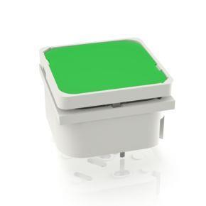 RAFI 3140026320000 | RF 19 H, Gold, Vollausleuchtung, 2,9 ± 0,6 N, Leuchtmittel grün, Blende grün, 1 S