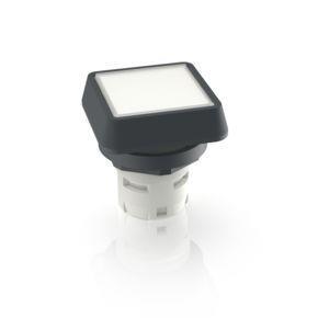 RAFI 1300702510200 | RAFIX 16, Drucktaster, flache Blende, Bund quadratisch, Blende weiß