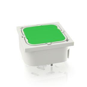 RAFI 3140020220000 | RF 19, Silber, Vollausleuchtung, 2,9 ± 0,6 N, Leuchtmittel grün, Blende grün, 1 S