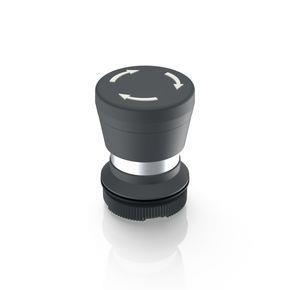 RAFI 1302765020000 | RAFIX 22 FS + , Pilzdrucktaster, rastend, Pilzkopf schwarz