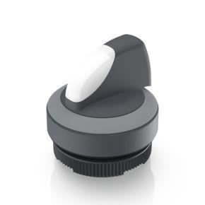 RAFI 1302723012208 | RAFIX 22 FS + , Leuchtwahlschalter, Bund rund, Frontring lichtgrau, 2 x 60°, rastend, beleuchtbar