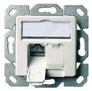 Telegärtner 100022977 | Modul-Aufnahme AMJ-S DD 2-fach UP/50 alpinweiß, inkl. 2 AMJ-S DD Modul Cat.6A(IEC) T568B