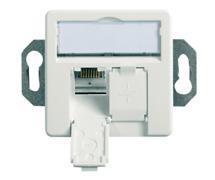 Telegärtner 100022957 | Anschlussdose AMJ45/B 8/8 K Up/50 Cat.6A(IEC), Bodentankeinbau, 2xRJ45, alpinweiß