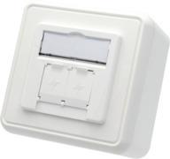 Telegärtner 100021396 | Modul-Aufnahme 80x80, 2-fach AP unbestückt, alpinweiß