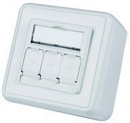 Telegärtner 100021385 | Modulaufnahme 80x80, 3-fach AP, alpinweiß