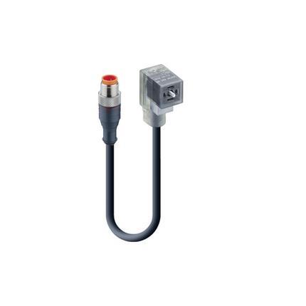 Lumberg Automation 71105 | RST 5-3-VCD 1B-1-3-226/1 M Kabel M12 - Ventilstecker