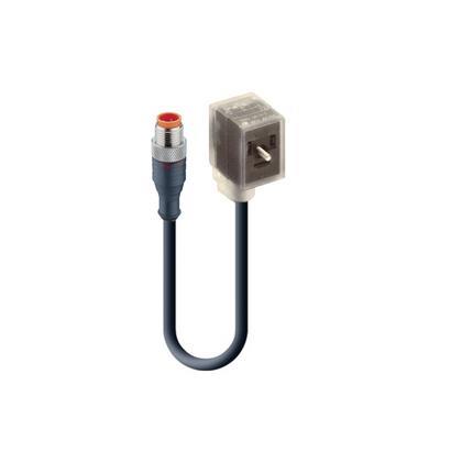 Lumberg Automation 18263 | RST 5-3-VBD 1B-1-1-226/2 M Kabel M12 - Ventilstecker
