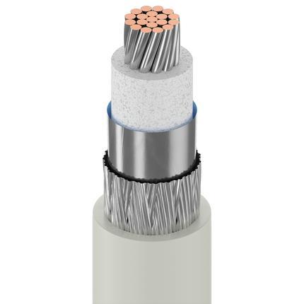 Belden Cable 89907 E4X1000 | IEEE 802.3 Ethernet Thinnet 10BASE2, 20 AWG (19 x 32) verzinnter Kupferleiter, FEP-Schaumisolation, Duobond® II (100 % Abdeckung) + verzinnter Kupfergeflechtschirm (95 % Abdeckung), Fluorcopolymer-Ummantelung, CMP
