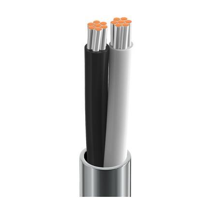 Belden Cable 8461 0605000 | Elektronisch, 2 C #18 Str TC, PVC-Einsätze, PVC-Jacke, CMG