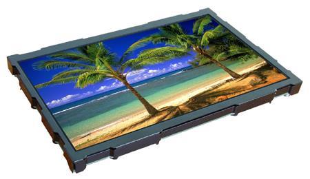 Display Visions EA uniTFT101-A | 10,1" Multifunction-TFT