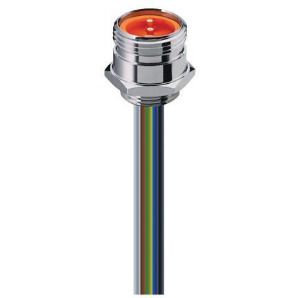 Lumberg Automation 11618 | RSF 20/13,5-03 7/8-Zoll-Steckverbinder