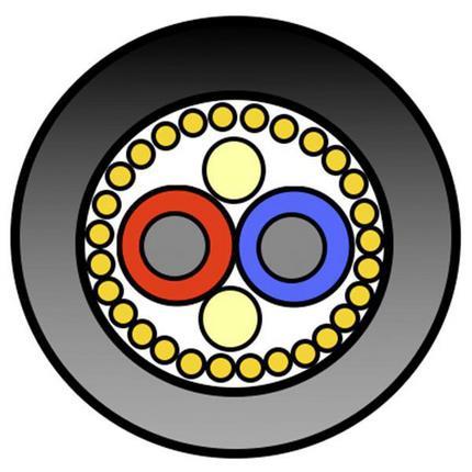 Belden Cable BE46349.00500 | Sensor-/Aktor-Steckverbinder, Kabelsatz, einseitig, weiblich, gerade, 5