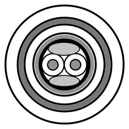 Belden Cable 3079ALS.00152 | Profibus DP, 1PR #22 Sol BC, PO eins, F/B, LSNH Jkt, 300 V