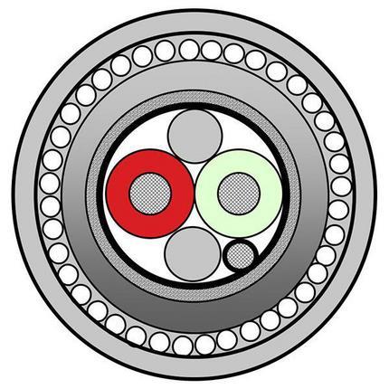 Belden Cable 70001LS.00120 | Profibus PA, 1 Paar AWG 18 verzinntes Kupfer - Litze, Polyolefin (PO, PE, PP)-Isolierung, Abschirmung aus Folie und Geflecht, LSZH/FRNC-Mantel, 300 V