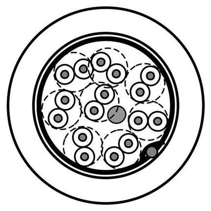 Belden Cable 9508NH.001000 | 8-Paar, 24 AWG verseilte (7 x 32) TC-Leiter, PE-Isolierung, verdrillte Paare, durchgehende Beldfoil-Abschirmung (100 % Abdeckung), 24 AWG verseilter TC-Abflussdraht, LSZH-Mantel, Flammwidrigkeit IEC 60332-3C