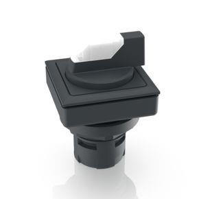 RAFI 1300937000200 | RAFIX 16 F, Leuchtwahlschalter, Bund quadratisch, 2 x 60°, rastend, beleuchtbar