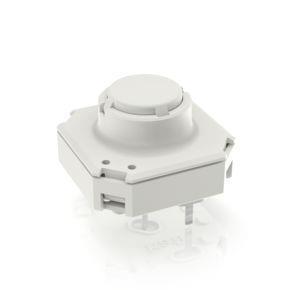 RAFI 3141005010000 | RF 15 R, Gold, nieder unbeleuchtet, 2,9 ± 0,6 N, 1 S