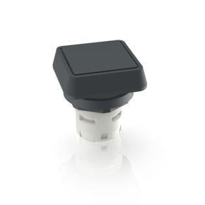 RAFI 1300702510100 | RAFIX 16, Drucktaster, flache Blende, Bund quadratisch, Blende schwarz