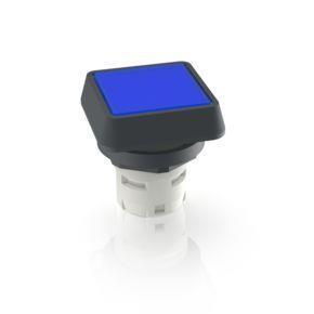 RAFI 1300702510600 | RAFIX 16, Drucktaster, flache Blende, Bund quadratisch, Blende blau