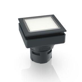 RAFI 1300900011000 | RAFIX 16 F, Leuchtdrucktaster, Blende flach, Bund quadratisch, Blende farblos