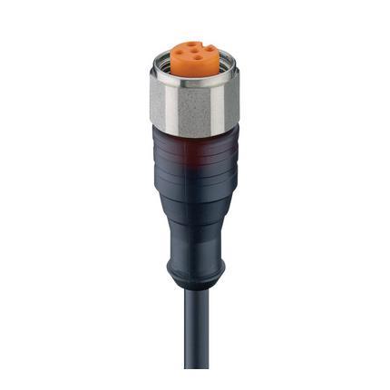 Lumberg Automation 16072 | RKTN 5-228/3 M M12-Steckverbinder