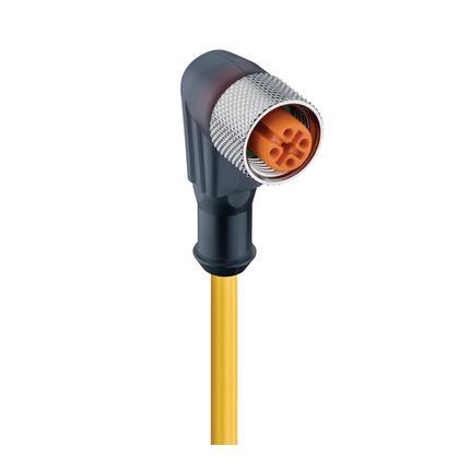 Lumberg Automation 12438 | RKWT/LED P 4-377/25 M M12-Steckverbinder