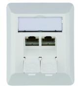 Telegärtner 100023002 | Anschlussdose AMJ45 8/8 K AP Cat.6A(IEC), alpinweiß