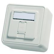 Telegärtner 100021381 | Modul-Aufnahme 80x80, 1-fach AP unbestückt, alpinweiß