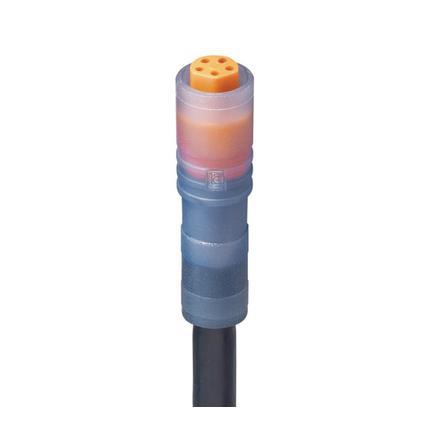 Lumberg Automation 934871017 | RKM 5-507/20 M M8-Steckverbinder