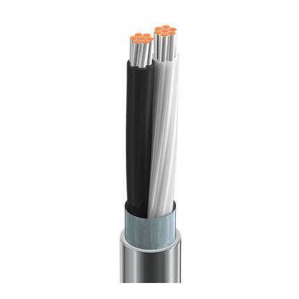 Belden Cable 8641 060500 | 24 AWG Litzenleiter (7 x 32) TC, Polyethylen-Isolierung, verdrilltes Paar, durchgehende Beldfoil-Abschirmung (100 % Abdeckung), 24 AWG Litzenleiter TC-Abflussdraht, PVC-Mantel.