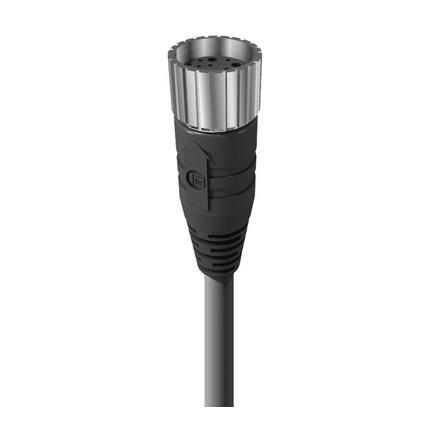 Lumberg Automation 89236 | RKU 19-355/5 M M23-Kupplung umspritzt, 5m Kabel
