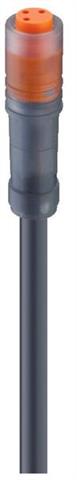 Lumberg Automation 38427 | RKM 3-224/5 M M8-Kupplung 3pol. 5m Kabel
