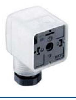 Hirschmann 934888027 | GDM21F6-S24-10D Ventilstecker 2pol.